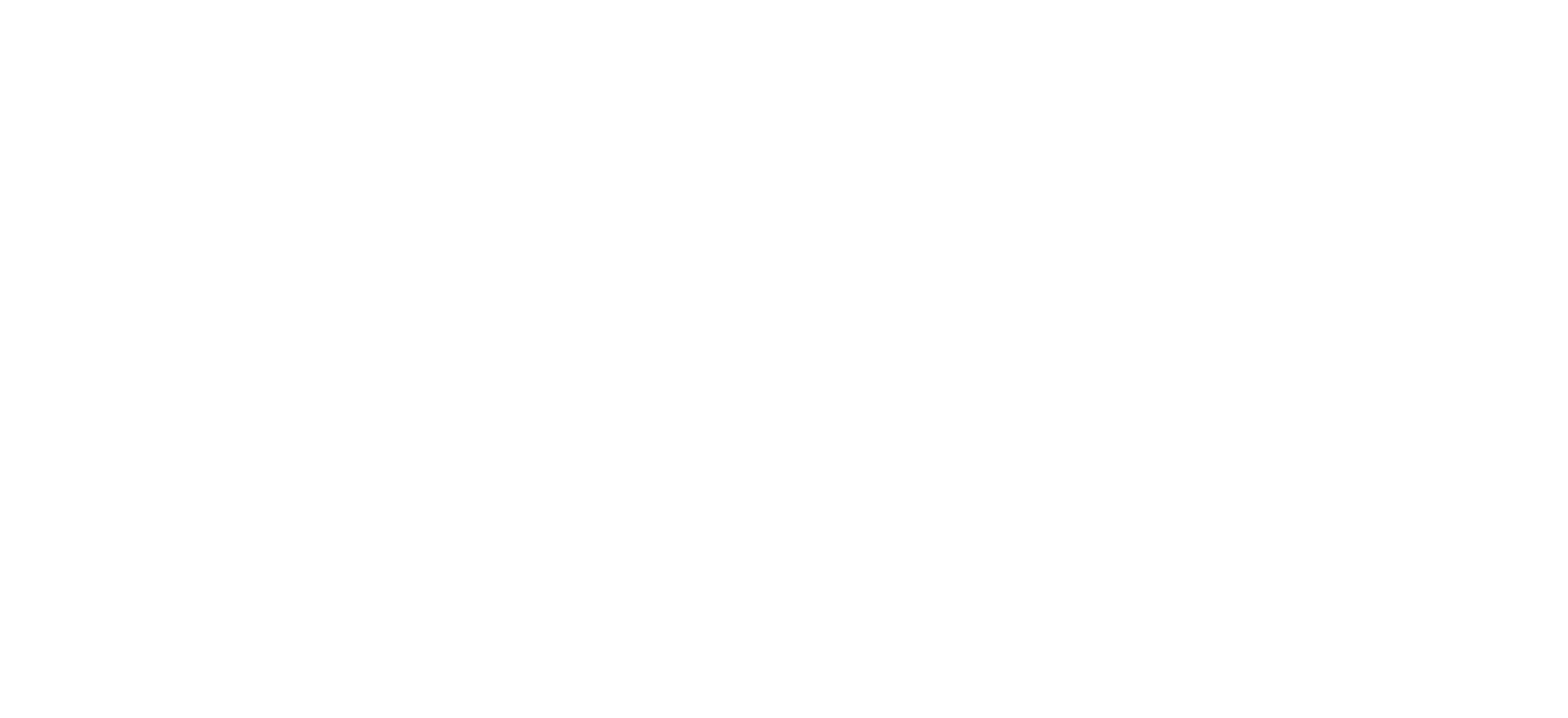 Northville Consulting